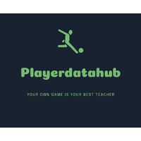 PlayerDataHub logo - Similar company to New Wave Digital