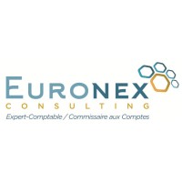 EURONEX CONSULTING logo - Similar company to Capfiscal Consulting