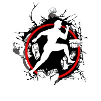 Pro To Col Sport Systems logo - Similar company to Elite Wealth Management, Llc