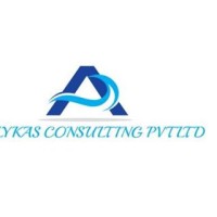 ALYKAS CONSULTING PVT LTD logo - Similar company to Solutionview