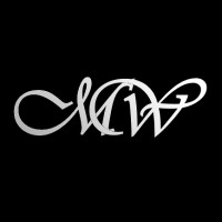 Maxime Wilski logo - Similar company to Point Of Light