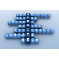 ISO Management Consultants logo - Similar company to Thundercat Consulting