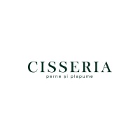 Cisseria logo - Similar company to Dvb Black Concept