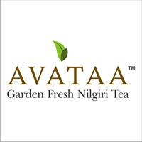 Avataa Tea logo - Similar company to Only Cold Brew