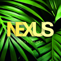 Nexus Paper logo - Similar company to Trade-Link