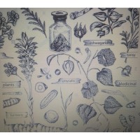 Abancay logo - Similar company to Aneacamp