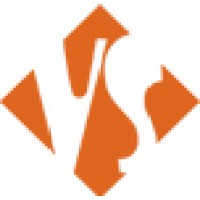 Vision Studio logo - Similar company to Perfection Icon Est.