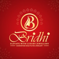 Bridhi logo - Similar company to Savarino Properties, Llc