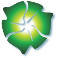 NEO Virtus Engineering, Inc. logo - Similar company to Purepower Engineering Sa