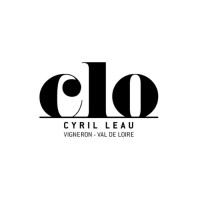 Domaine CLO logo - Similar company to Pixim Communication