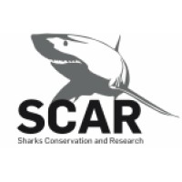 Shark Conservation and Research (SCAR) logo - Similar company to Bite-Back Shark & Marine Conservation