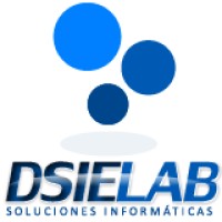 DSIELAB logo - Similar company to Conhector Consultores