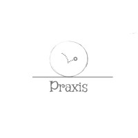 Praxis Studio logo - Similar company to Praxis Studio