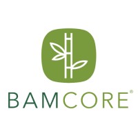 BamCore logo - Similar company to Thinkbamboo