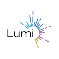 Lumisoft logo - Similar company to Nft Me
