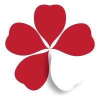 Quinto Credito logo - Similar company to Data Network Consulting