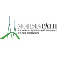 NormaPath logo - Similar company to Xpath Groupe