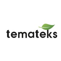 TEMATEKS logo - Similar company to Frostcar Eutectic