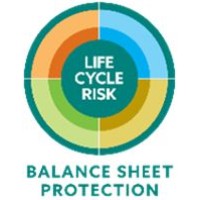 Life Cycle Risk Ltd logo - Similar company to Passion For Prague