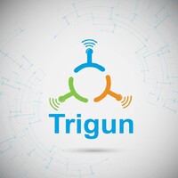 Trigun Technology Pvt. Ltd. logo - Similar company to Trigunita Ed Tech