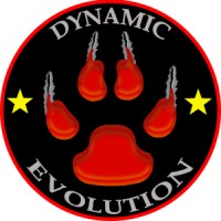 Dynamic Evolution Shooting Academy logo - Similar company to International Practical Shooting Confederation