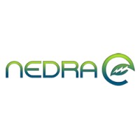 Nedra Ltd logo - Similar company to Elemental Computing, Inc