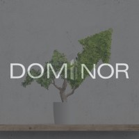 Dominor Investment Holding LLP logo - Similar company to Sattva Ventures