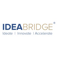 IdeaBridge® logo - Similar company to Anklyticx