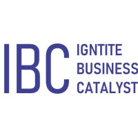Ignite Business Catalyst logo - Similar company to Elixirai
