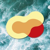 REMEDEX logo - Similar company to Crysttal