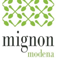 Mignon Modena Srl logo - Similar company to Movet - Personal Trainer A Modena