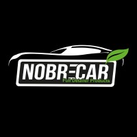 Nobrecar Produtos para Estética Automotiva, Náutica e Aeronáutica logo - Similar company to Protelim Car Care Products