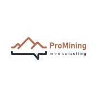 ProMining Mine Consulting logo - Similar company to Rapid Services Azerbaijan