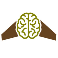 Smart Squadron logo - Similar company to Link Layer