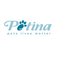petina logo - Similar company to Sparksoft