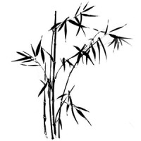 Officina del Bambù logo - Similar company to Globe Plant B.V.