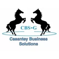 Casantey Business  Solutions Group logo - Similar company to Learn With Mochi