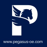 Pegasus Operational Excellence logo - Similar company to Proanalytix