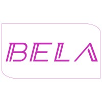 BELA Solutions LLP logo - Similar company to Vr Solutions