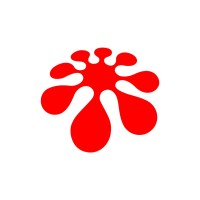 arkusnexus logo - Similar company to Verkko Mx