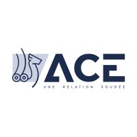 ACE logo - Similar company to Datalumni