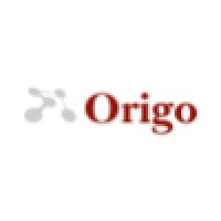 Origo Partners Plc