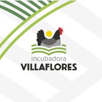 Incubadora Villlaflores Grupo Pecuario. logo - Similar company to Ciudad Saludable