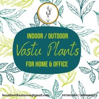 Breath with Nature logo - Similar company to Conception Design Studio