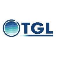 TRANSGLOBAL LOGISTIC SAC logo - Similar company to Diflet Cargo Express