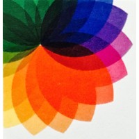 Strand Bio (Consulting) logo - Similar company to Big Wave Recruiting