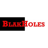 BLAKHOLES logo - Similar company to Reginepro Consulting