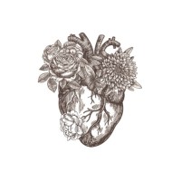 Amparo Fondita logo - Similar company to Kitchen Of Purpose
