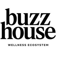 BuzzHouse logo - Similar company to Introsecurity