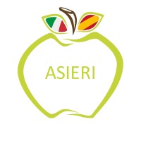 ASIERI (ASOCIACION INVESTIGADORES ESPAÑOLES) REPUBLICA ITALIANA logo - Similar company to Asociación De Científicos Españoles En Finlandia - Acefi